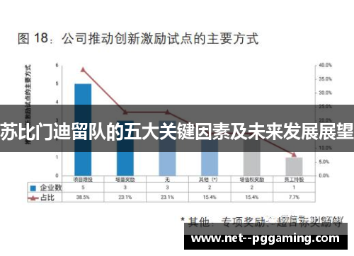 苏比门迪留队的五大关键因素及未来发展展望
