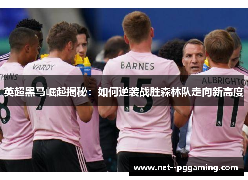 英超黑马崛起揭秘:如何逆袭战胜森林队走向新高度 英超黑马崛起揭秘:如何逆袭战胜森林队走向新高度