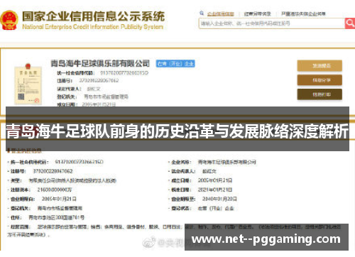 青岛海牛足球队前身的历史沿革与发展脉络深度解析 青岛海牛足球队前身的历史沿革与发展脉络深度解析