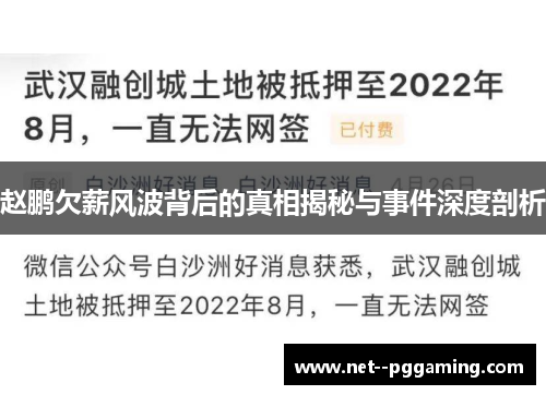 赵鹏欠薪风波背后的真相揭秘与事件深度剖析 赵鹏欠薪风波背后的真相揭秘与事件深度剖析