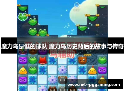 魔力鸟是谁的球队 魔力鸟历史背后的故事与传奇 魔力鸟是谁的球队 魔力鸟历史背后的故事与传奇