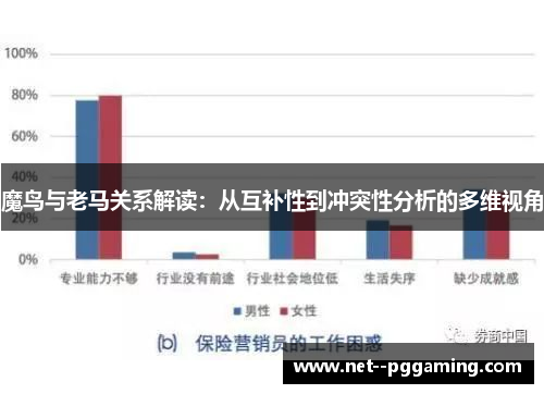 魔鸟与老马关系解读:从互补性到冲突性分析的多维视角 魔鸟与老马关系解读:从互补性到冲突性分析的多维视角